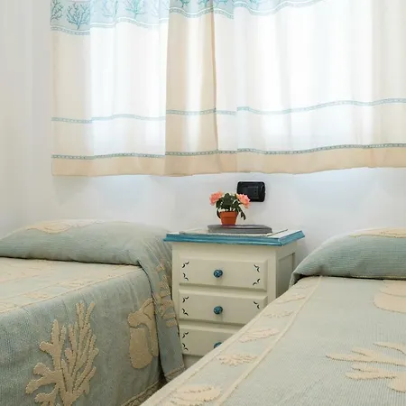 Sweet Dreams Όλμπια